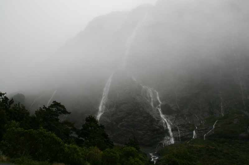 Nieuw-Zeeland 2011 - 1679